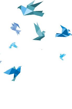 Copy of S2-ILLUSTRATION-1