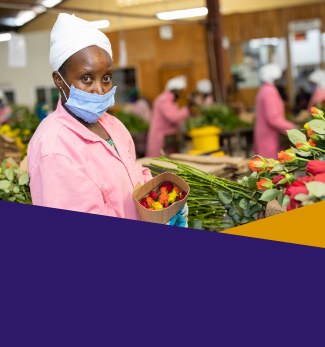 2-tuile-11-section-5jpeg