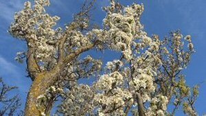 16 Las cuatro estaciones.jpg