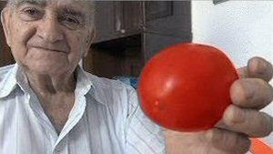 18 Semilla tomate pera.jpg