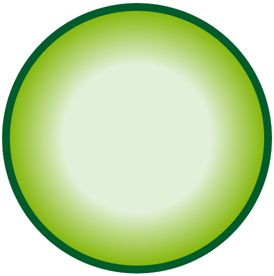 Boton verde degradado 2png