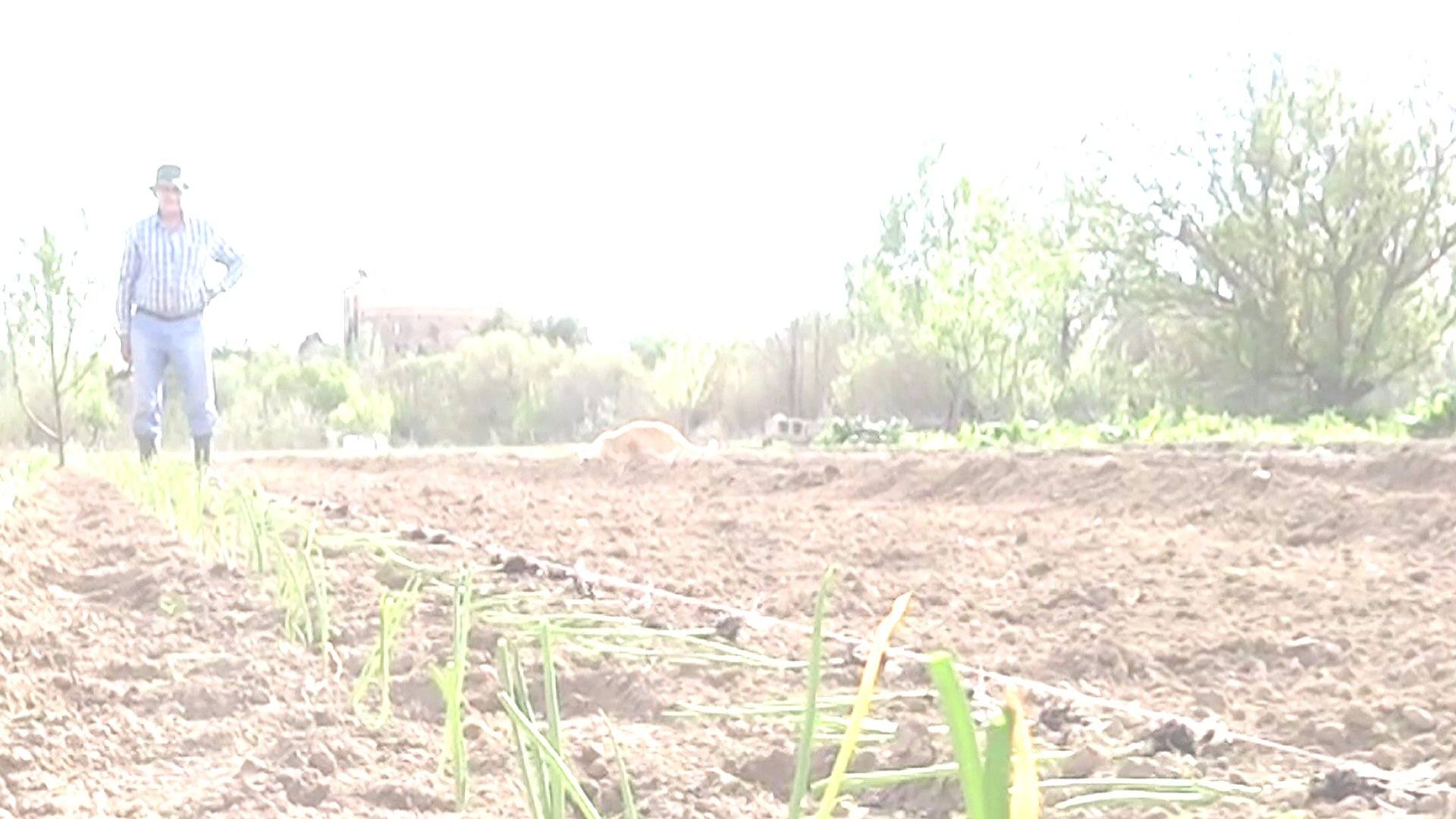 Fondo horizontal 1 125jpg