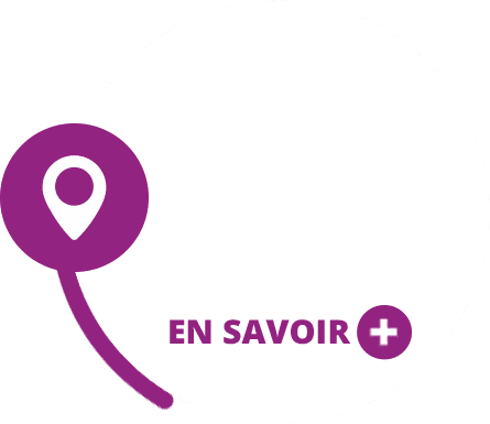 Copy of slide03-scmema