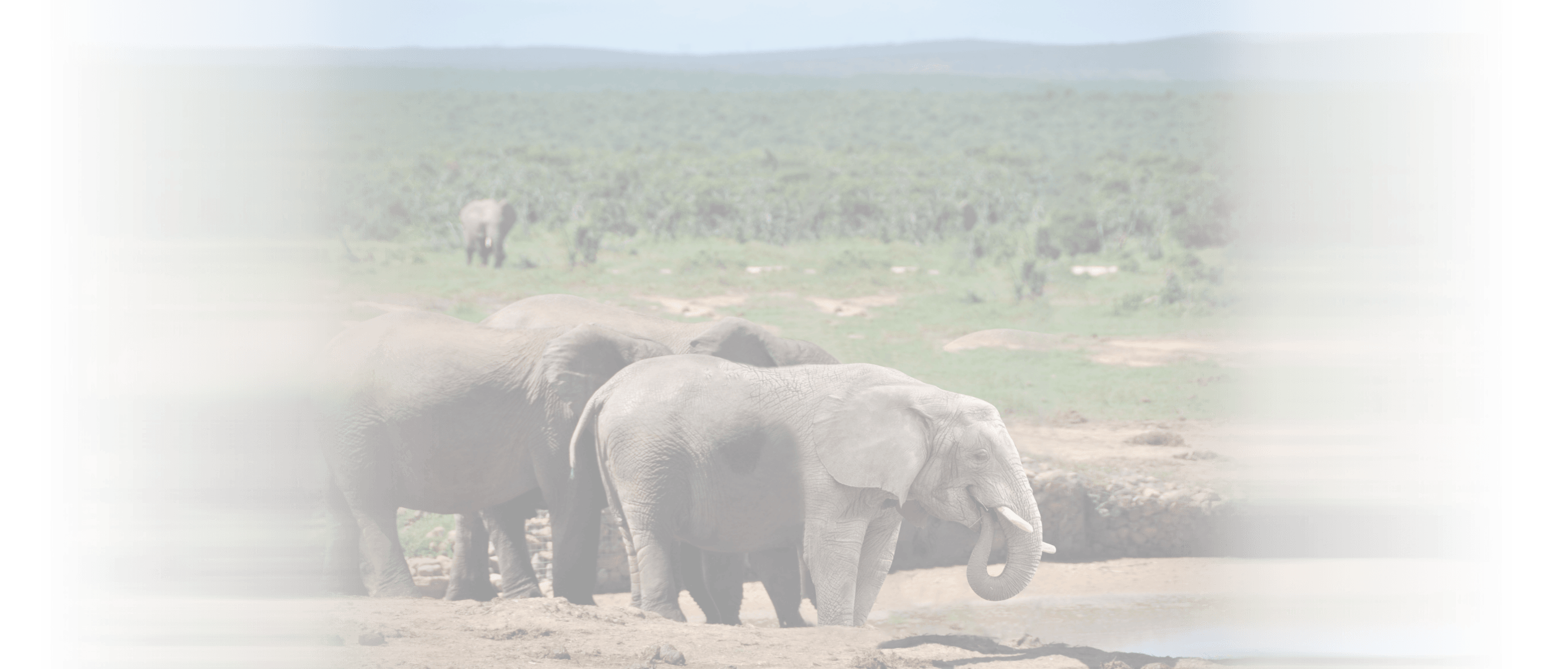 06-fond climat biodiv 02 copy