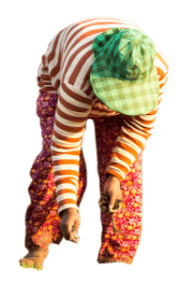 1-perso le groupe AFD en 2019 copy