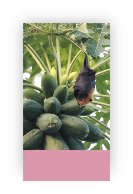 tuile 3 palnche 11.png copy