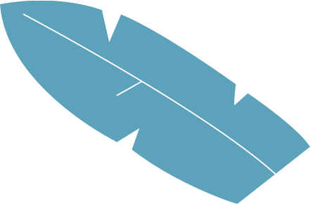 feuille-bleu-clair copy