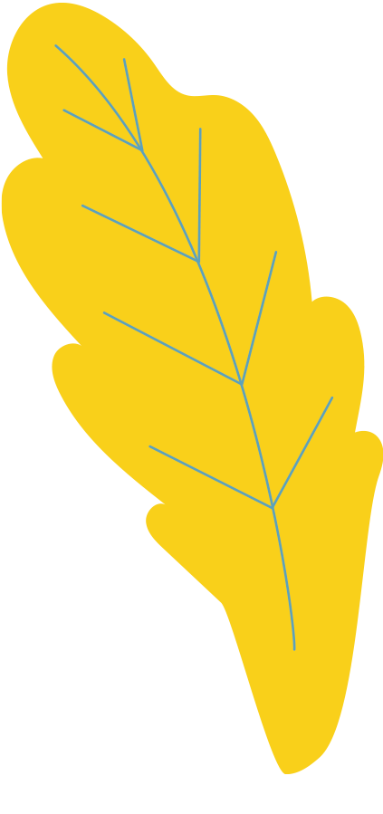 feuille-bleu-claire copy