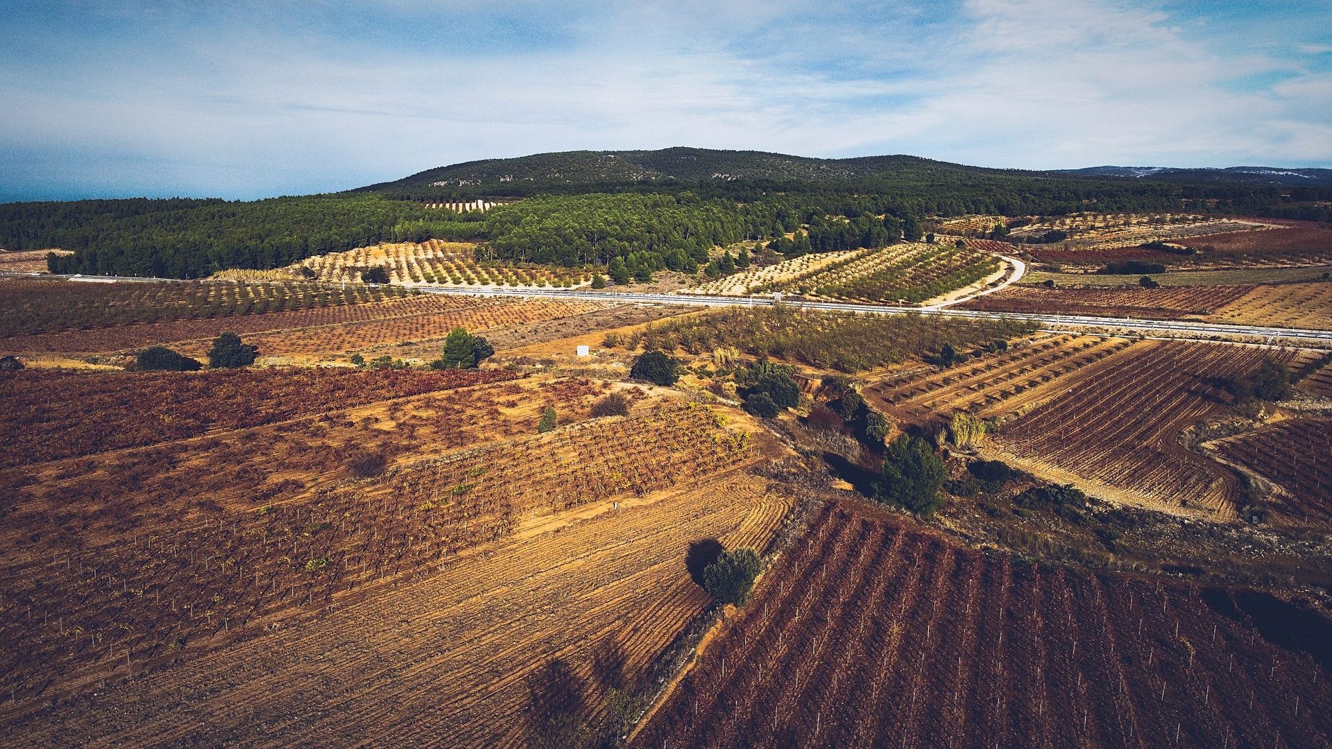 Autumn-Fields-scaledjpg